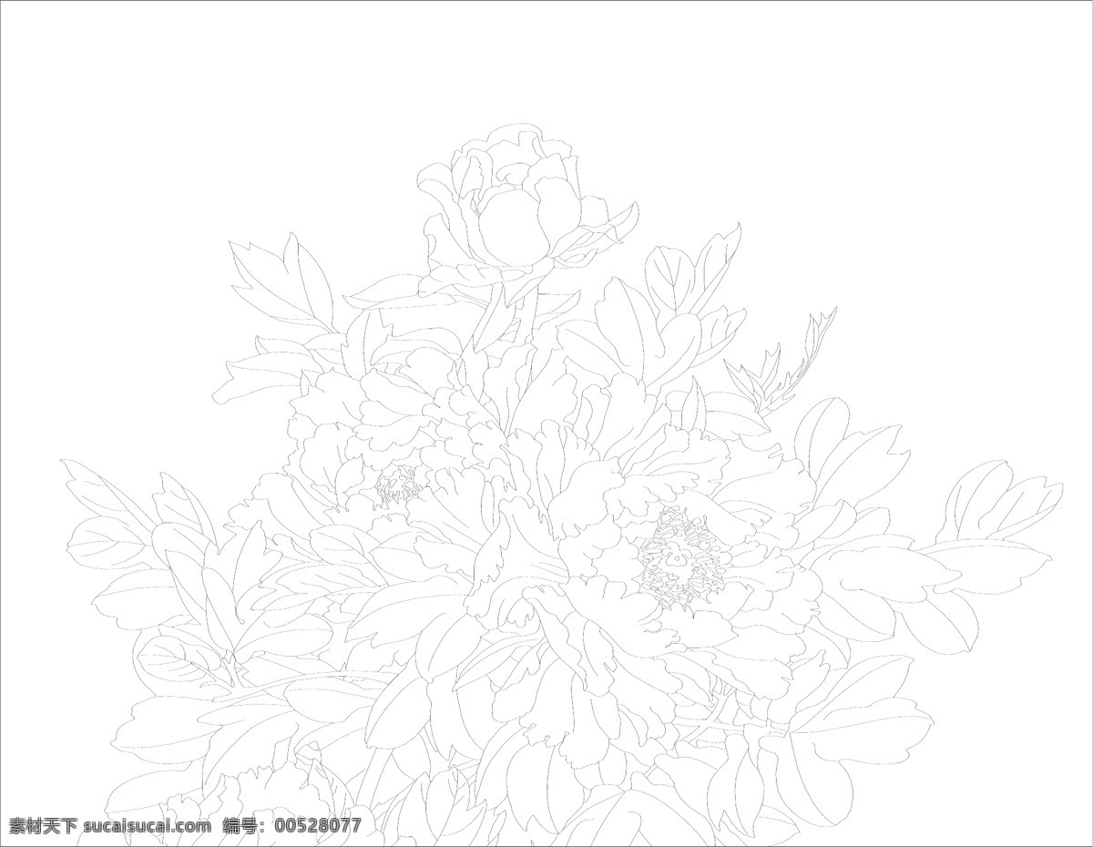 牡丹花 牡丹花圖片 矢量邊框花紋 矢量花紋素材 矢量圖庫 花紋花邊