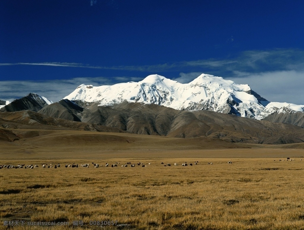 雪山 雪景 美圖 山峰 山谷 山脊 雪域高原 林海雪原 美麗的雪景 山區(qū) 群山環(huán)抱 大山 山坡 高山 自然景觀 山水風(fēng)景
