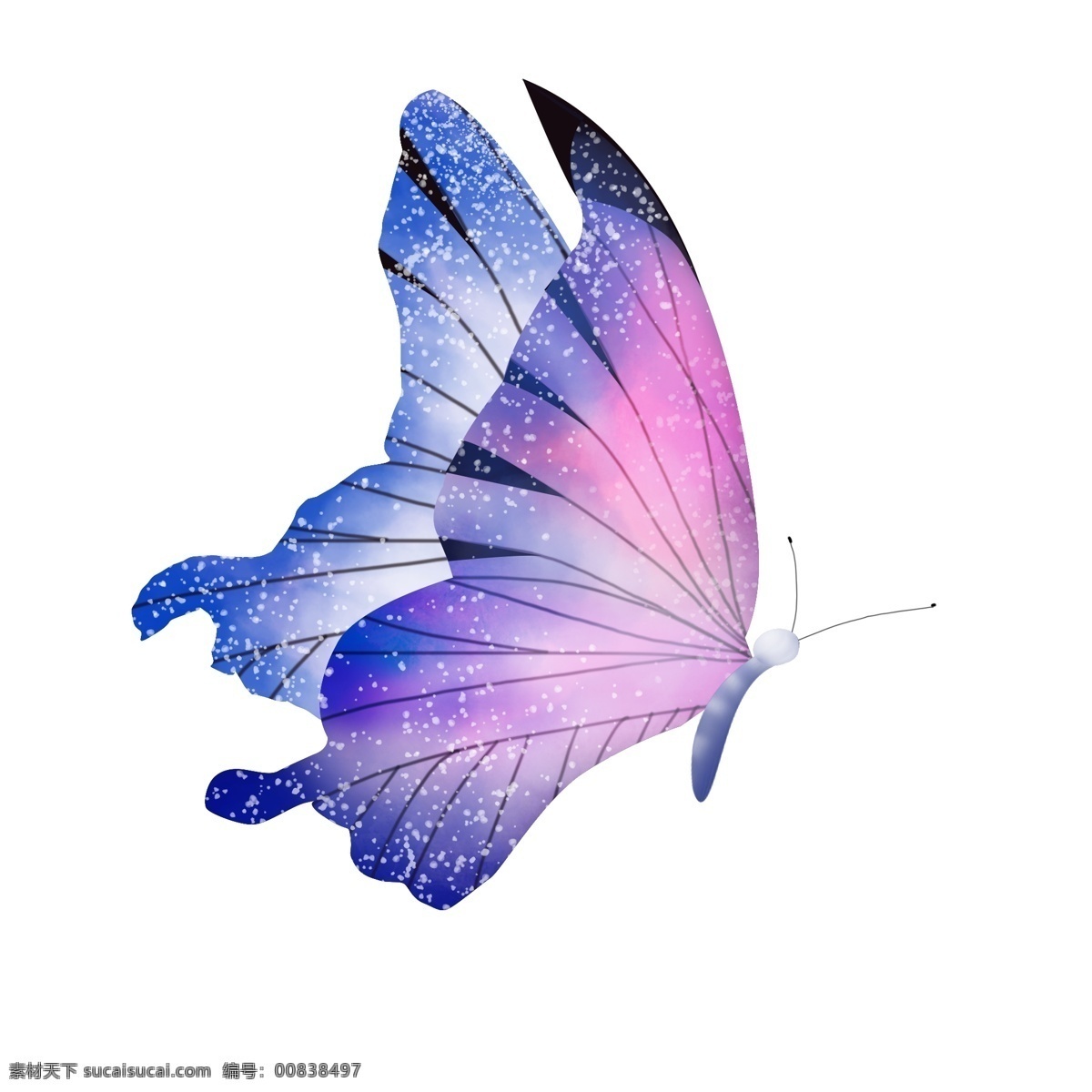 蝴蝶 紫红 翅膀 水墨 透明 明艳