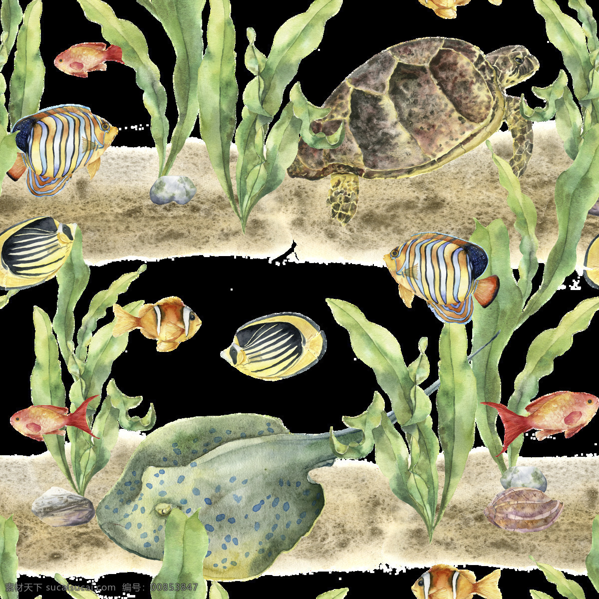 海洋 主題 插畫 圖案 海螺貝類 海洋生物 熱帶魚群 水彩插畫 海底世界 海洋生物插畫 魚群插畫 裝飾圖案 水草植物插畫