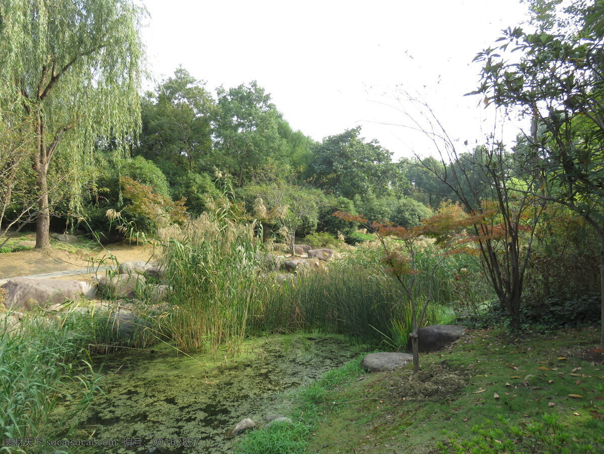 無(wú)錫風(fēng)景 自然風(fēng)光 背景圖