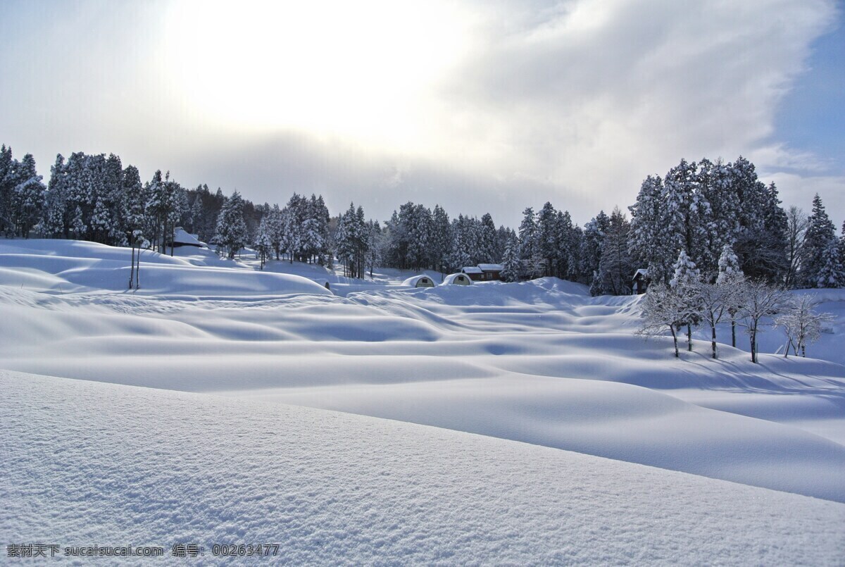 冬季 自然景觀 冬天 自然 森林 雪地 雪山 夕陽 藍(lán)天 自然風(fēng)景