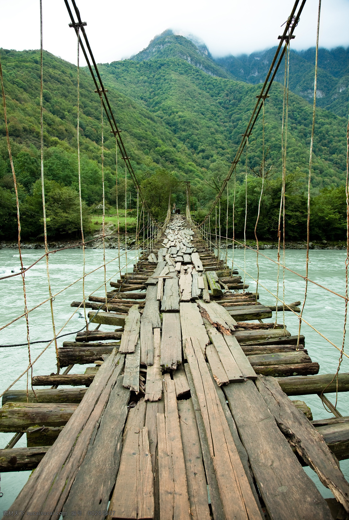 索桥 户外吊桥 木桥 自然风景 风光 木栈桥 自然风光 自然景观