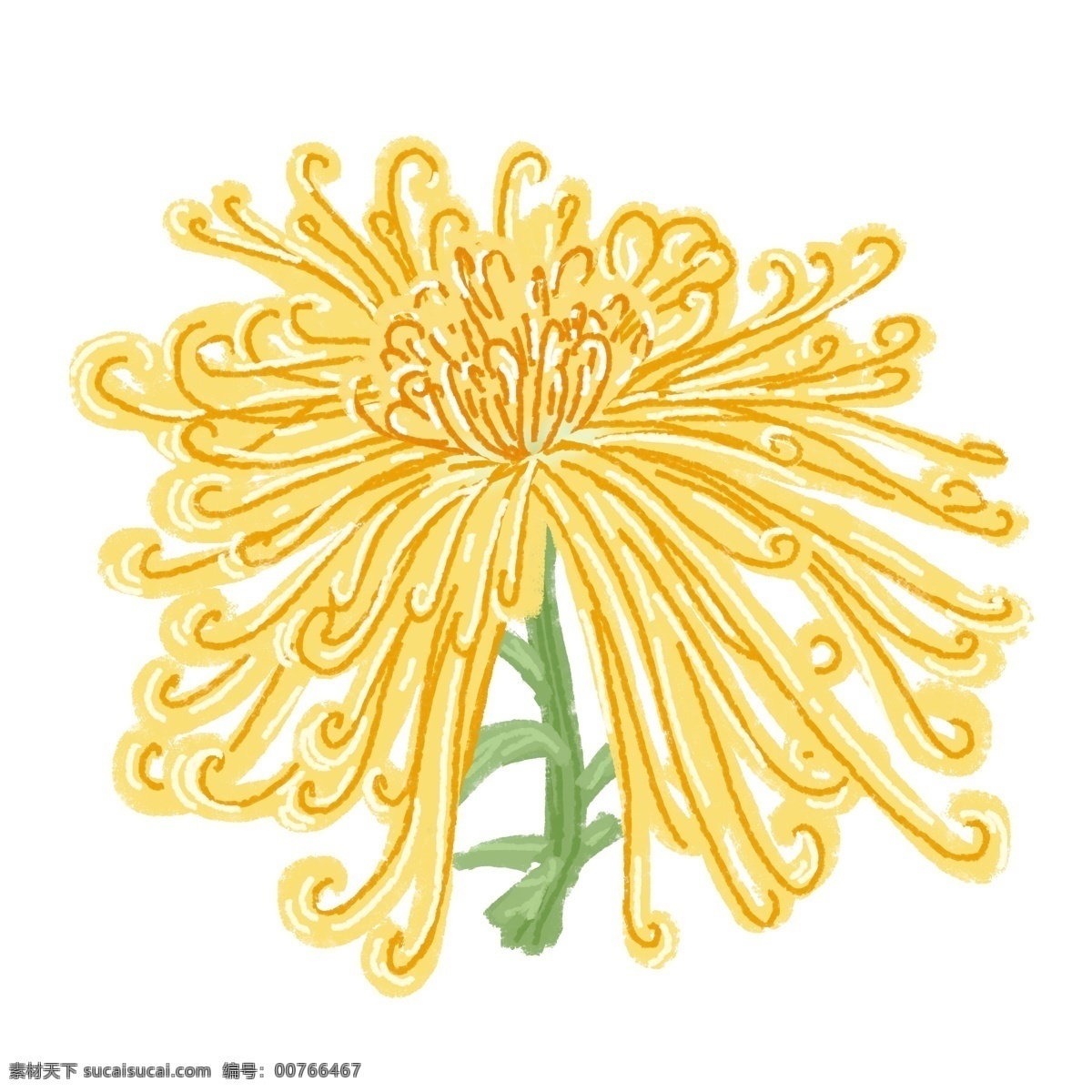 手繪 菊花 黃色 簡約 蠟筆 插畫 可商用