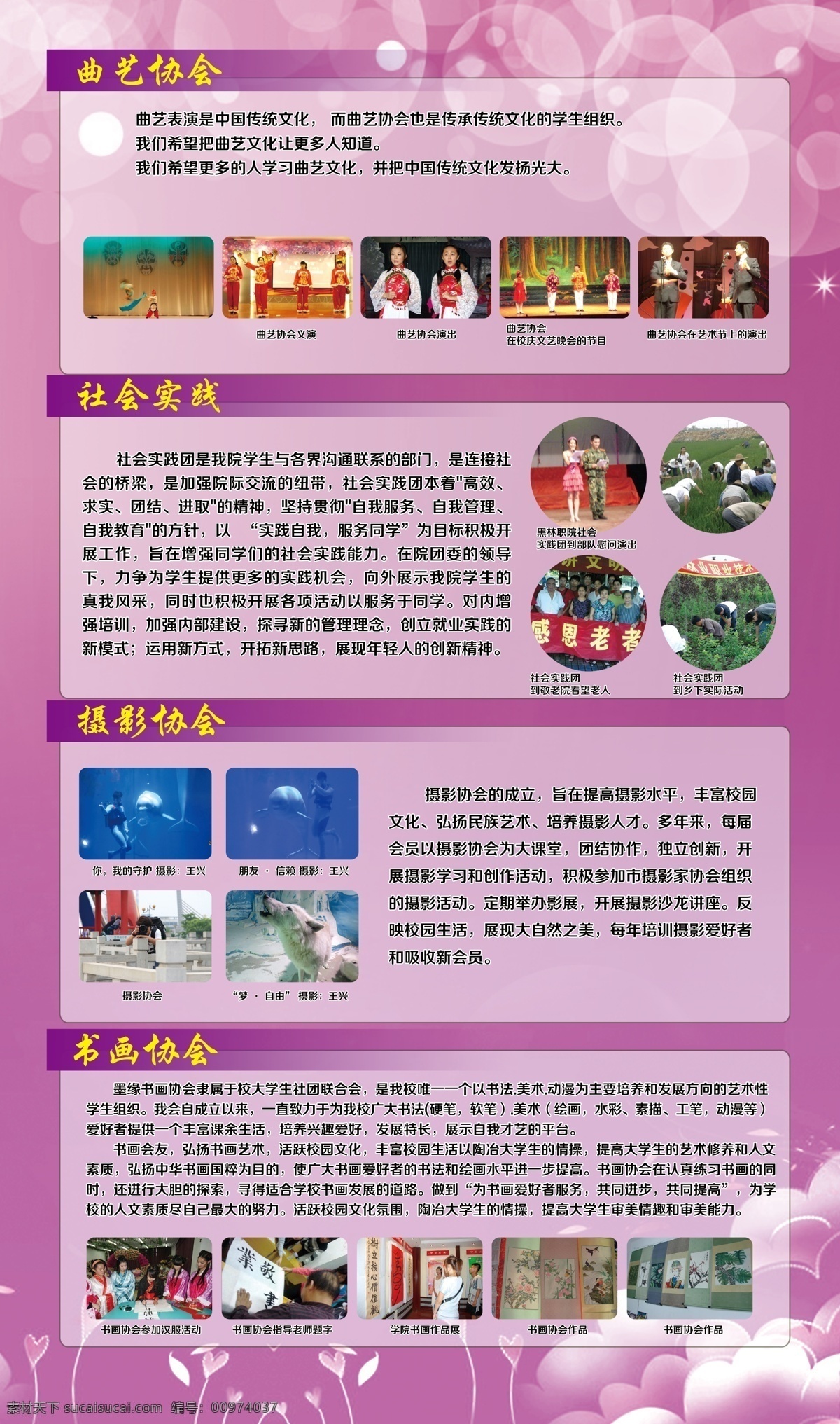 廣告設(shè)計(jì)模板 排版 社會(huì)實(shí)踐 易拉寶 源文件 展板模板 學(xué)校 圖板 模板下載 學(xué)校圖板 畫書 校園協(xié)會(huì)展板 易拉寶設(shè)計(jì)