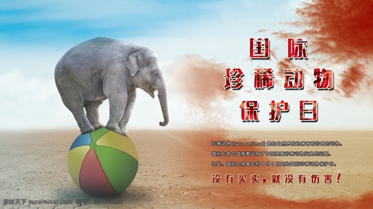 世界 珍稀 动物保护 日 ?；ざ?虎 伤害 保护日