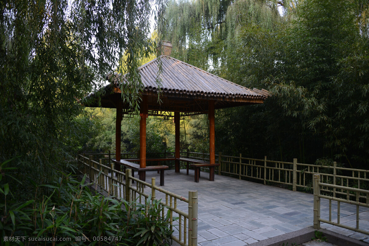 亭子 竹子 垂柳 風(fēng)景 自然風(fēng)景 旅游攝影