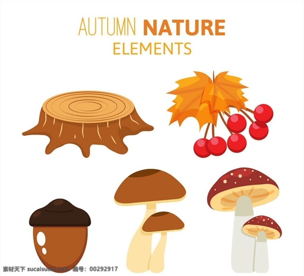 创意 秋季 植物 树桩 橡子 蘑菇 浆果 矢量 高清图片