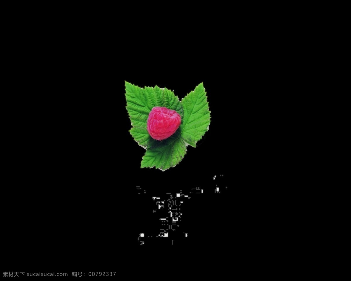 各種 果蔬 高清 大圖 水果 蔬菜 芹菜 蘋果 洋蔥 白色