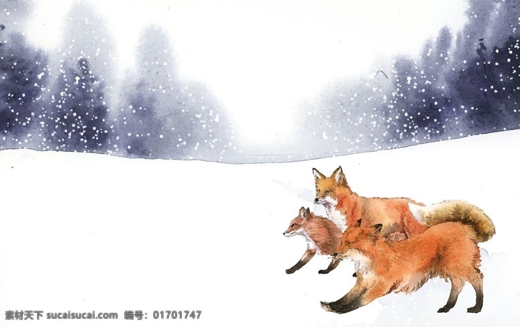 野生动物 插图 动物插图 手绘动物 大型动物 猛兽 飞禽 鸟兽 禽类 猛禽 猫 乌龟 松鼠 梅花鹿 牛 锦鸡 狼鹰 白熊 熊 狐狸 兔子 鹿 企鹅 猫头鹰 生物世界
