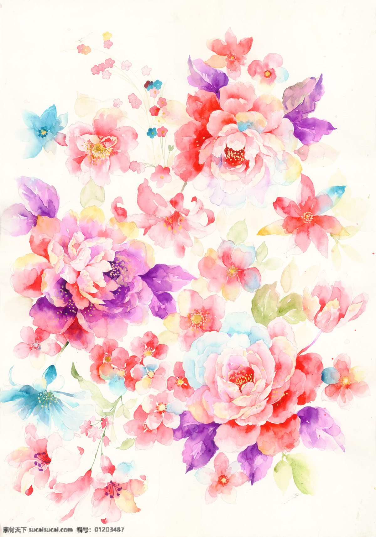 原创 手绘 水彩 艺术 花卉