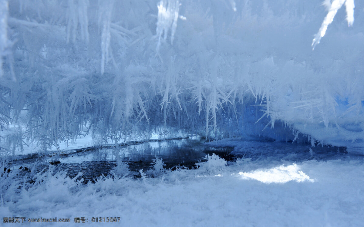 白色冰雪世界 唯美 高清 自然 冰雪 白色 风景 自然景观 自然风景