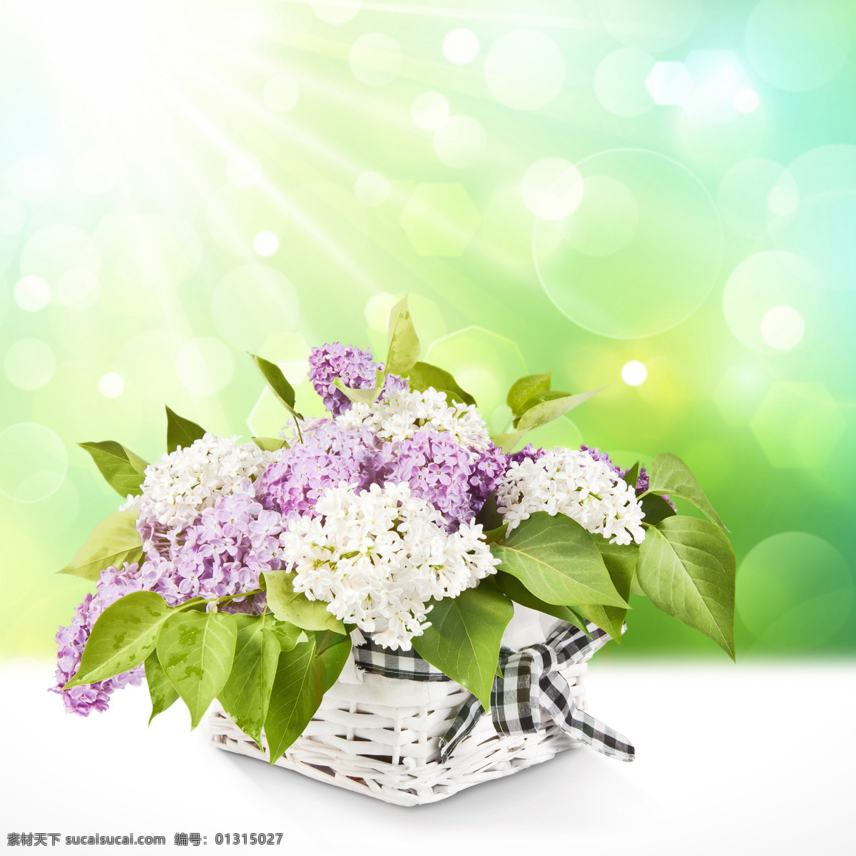 唯美丁香花籃 唯美 花籃 高清 丁香花 唯美花朵 清新花朵 清新