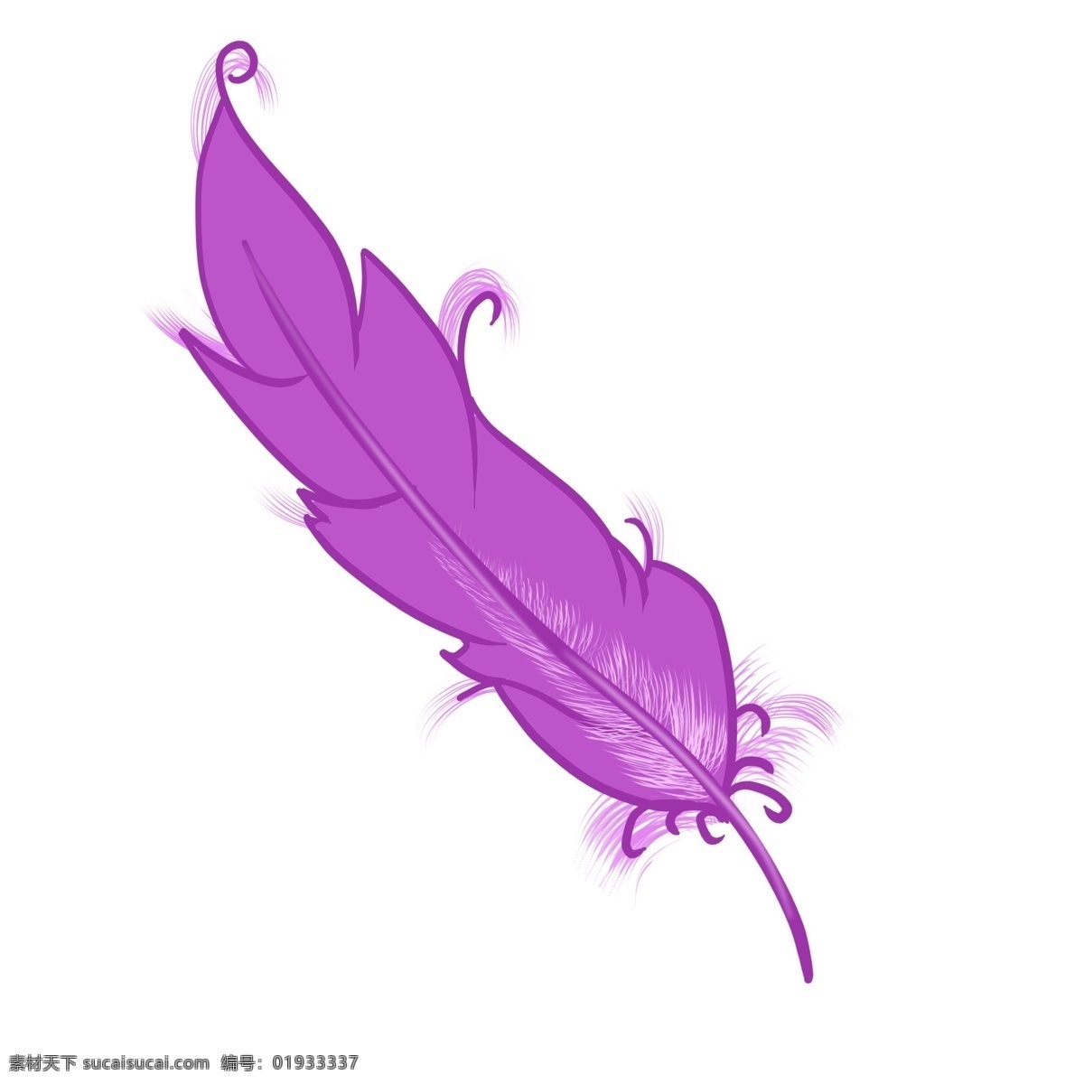 精美 紫色 动物 羽毛 毛发