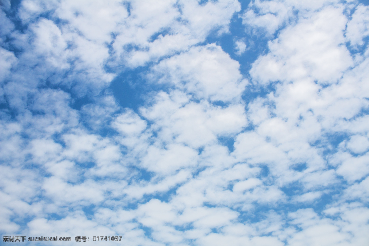 蔚蓝 天空 洁白 云 蔚蓝的天 蓝天 白云 云朵 云层 商用 风景