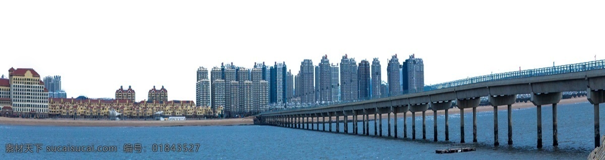 城市大橋 大橋 高樓 河水