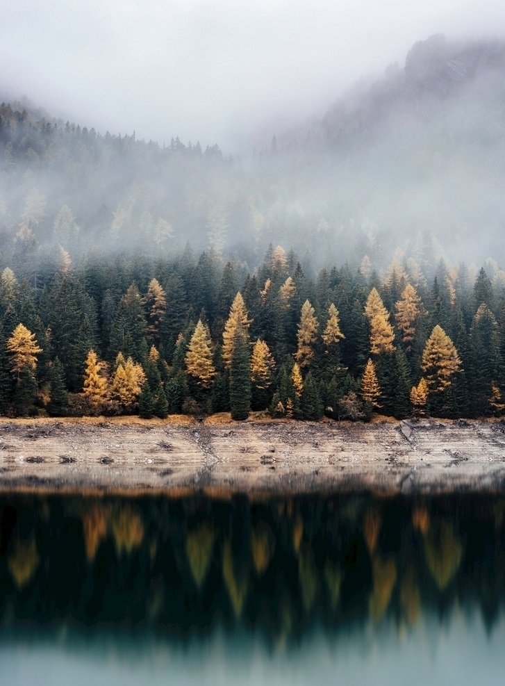 迷雾森林图片 迷雾 森林 树木 山峰 河水 秋季 秋景 自然景观 高清摄影图 自然风景