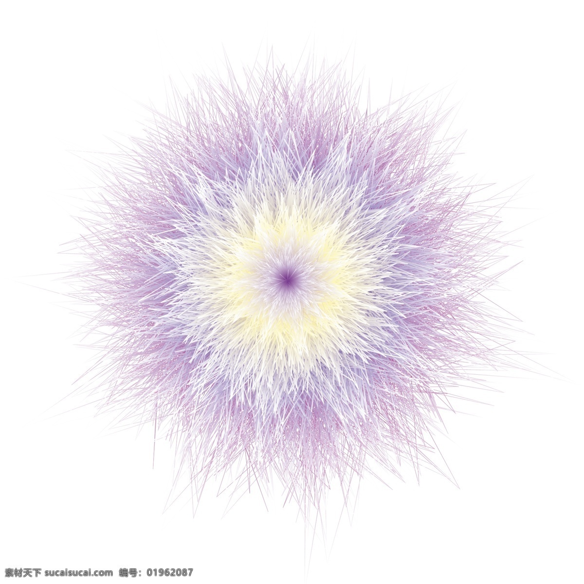渐变 紫色 盛放 线条 花朵 盛放的 装饰 放射性花朵