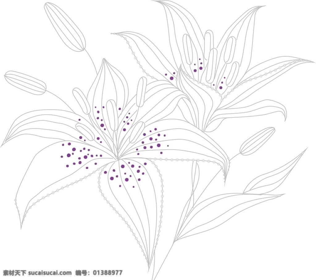 矢量百合花 百合花 花朵 紅百合 各種百合 花卉 手合花紋 百合 百合移門 百合圖案 白百合 手繪花紋 精美花紋 手繪花朵 移門花紋 白色百合花 矢量百合 手繪百合 百合花素材 手繪百合花 線條 矢量 手繪 生物世界 花草