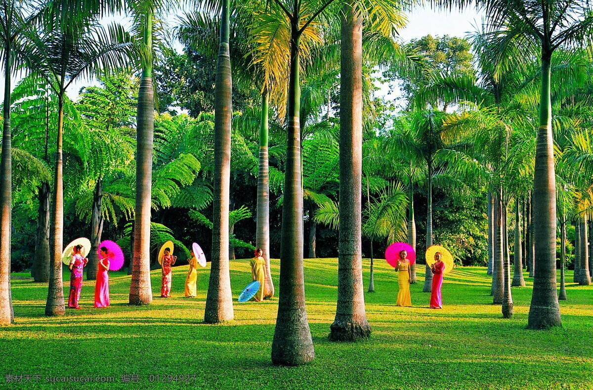 植物園 熱帶雨林 傣族 風(fēng)光 自然風(fēng)景 自然景觀