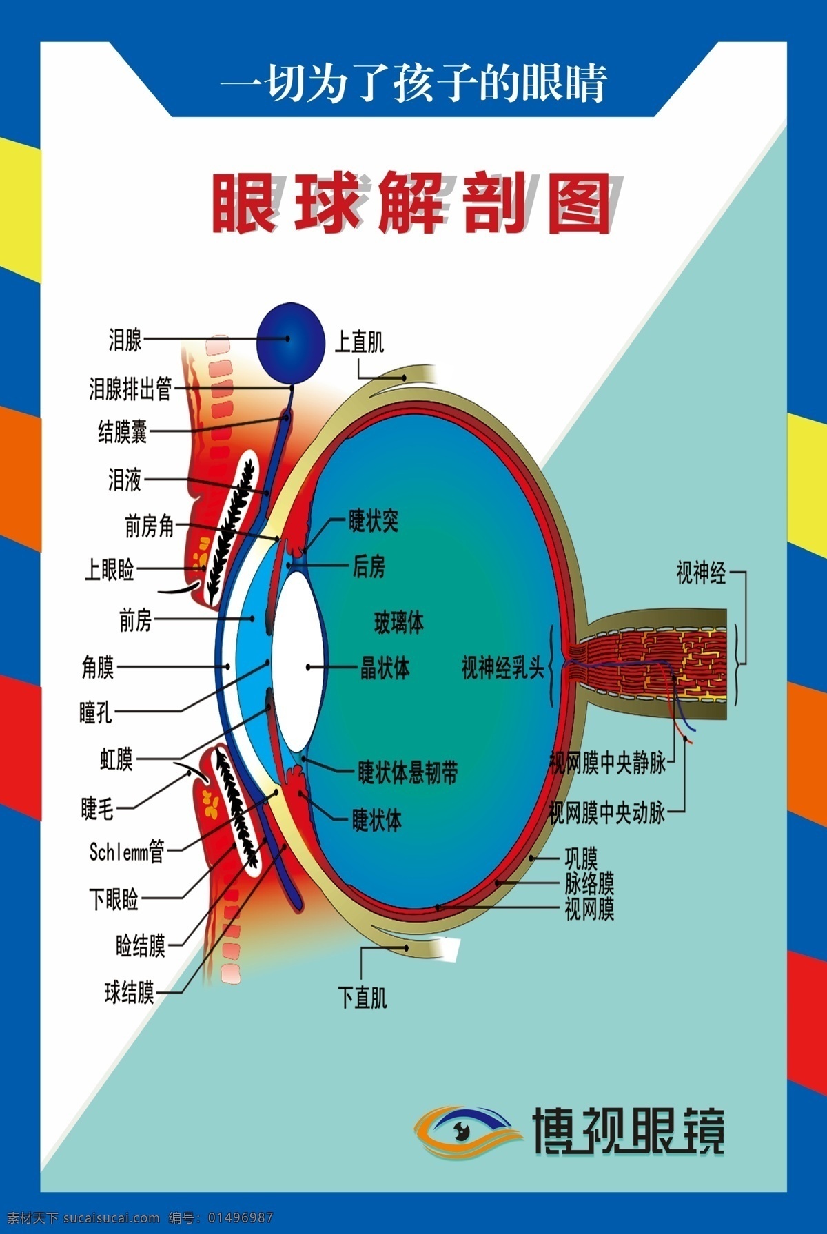 眼科 眼鏡店 流程圖 驗光 制度 分層