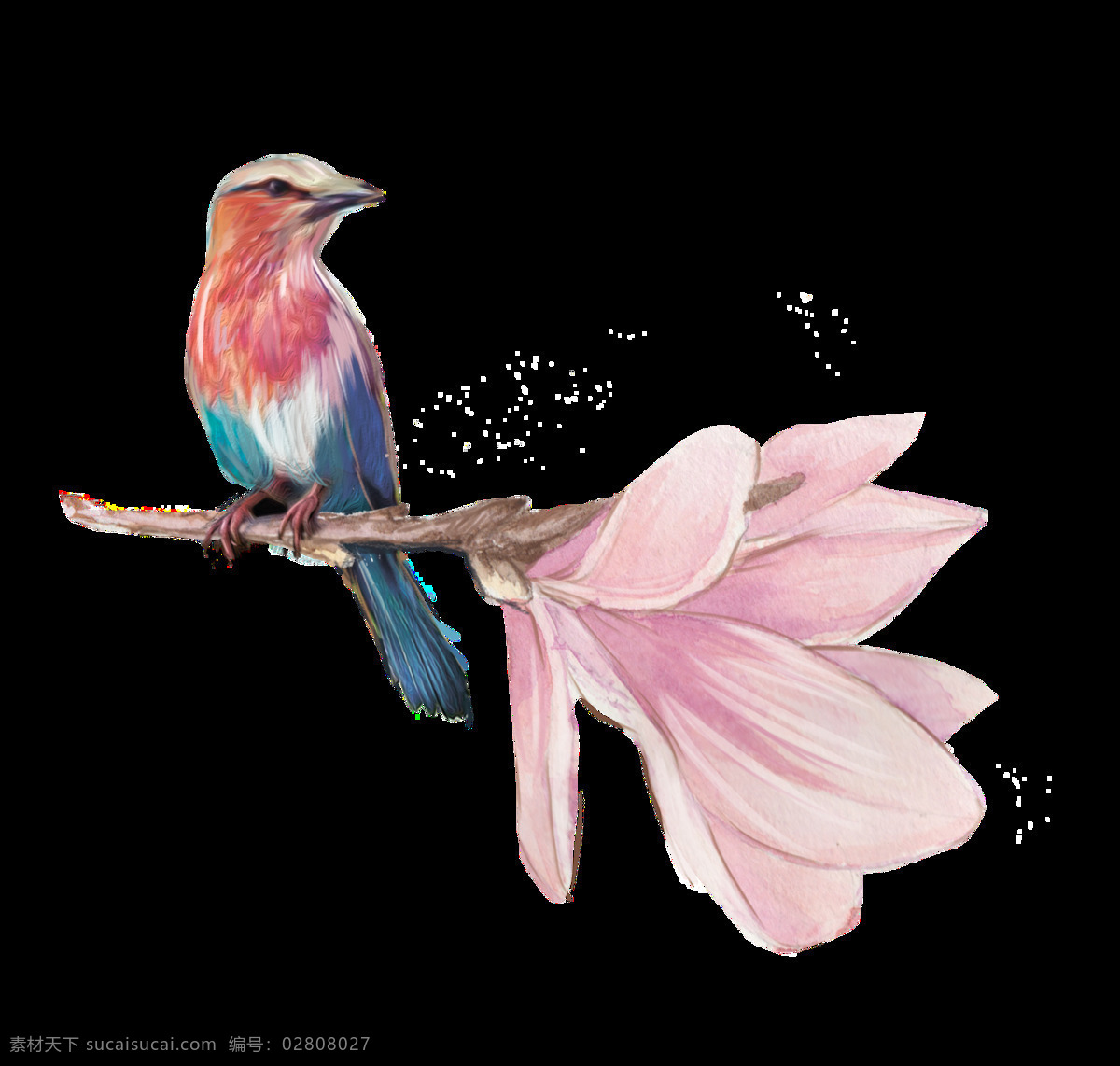 绘画 小鸟 透明 飞鸟 水彩 透明素材 免扣素材 装饰图案