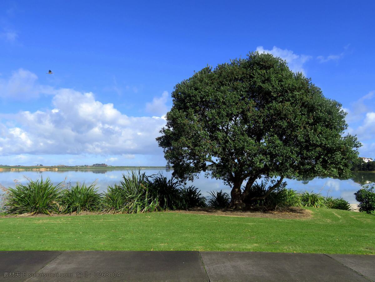 奥克兰 海滨 自然风景 天空 蓝天 白云 远山 大海 海水 海湾 绿树 绿地 草地 海滨步道 新西兰 风光 自然景观