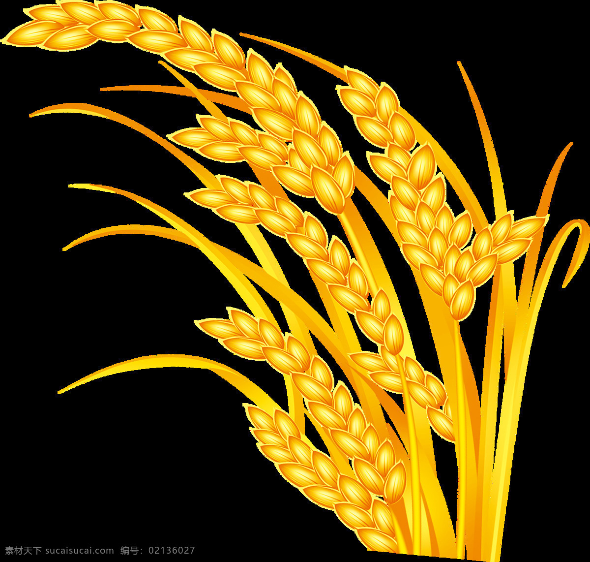 金色 麦穗 透明 图 麦子 透明图 室外广告设计
