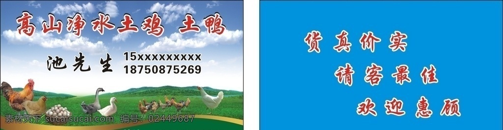 土雞 土 鴨 銷售 名片 土鴨 土雞土鴨 銷售名片