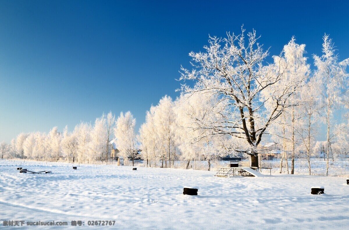 白色 冬天 大雪无垠 白色的冬天 雪 大雪 暴雪 松树 雪松 北国风光 雾凇 树林 雪景 冰雪