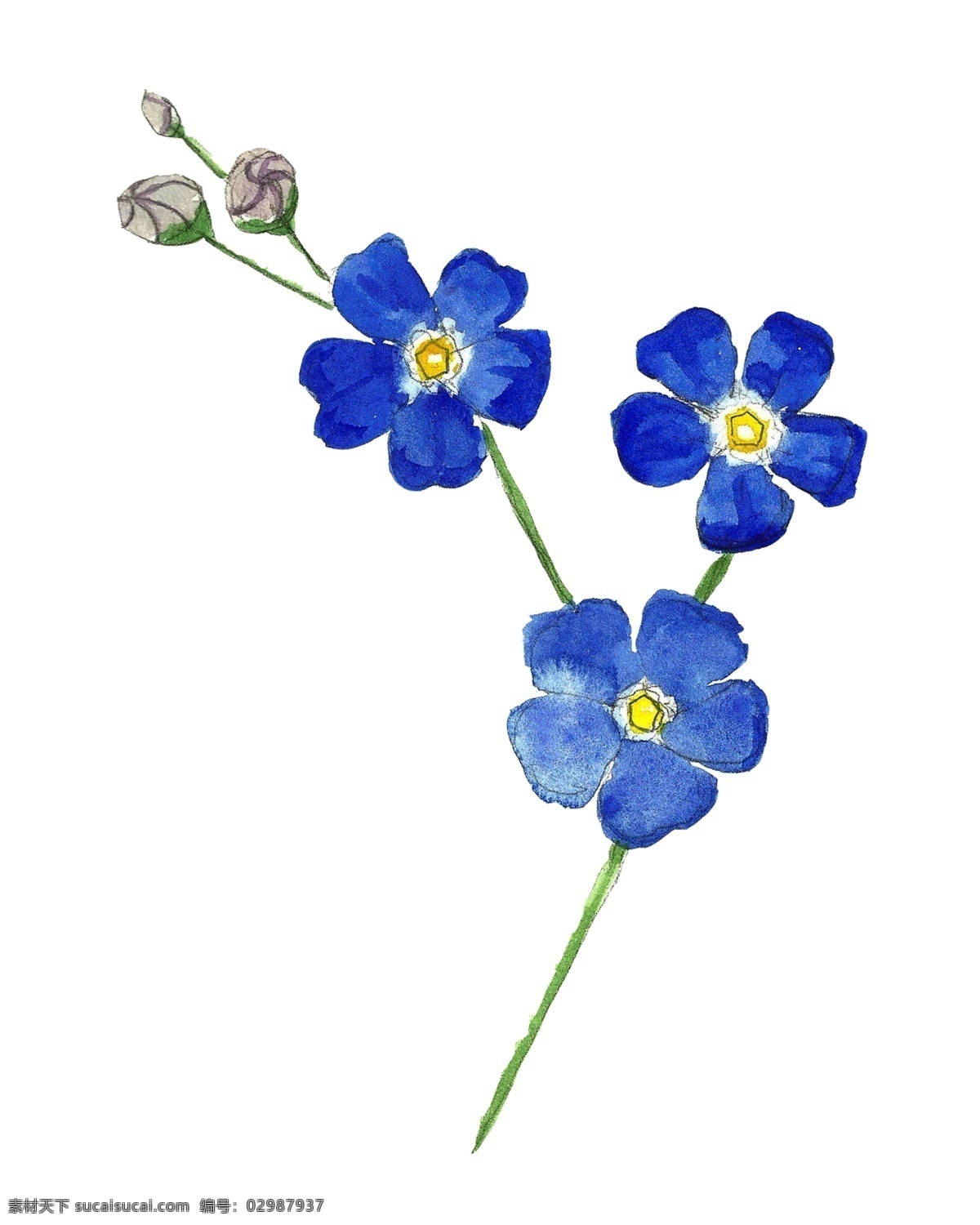 蓝色 素雅 花卉 源文件 海报设计装饰 设计素材 淘宝素材 装饰
