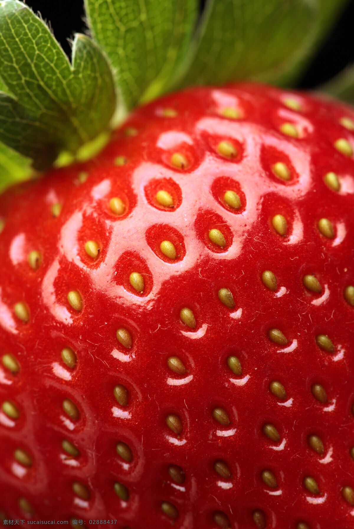 张 新鲜 草莓 高清 水果 高清图片 草莓高清图片 水果高清图 红色