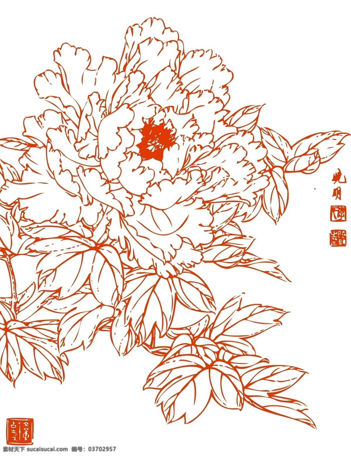 白描牡丹 白描花卉 植物 花卉 白描 線描 花草 生物世界 矢量