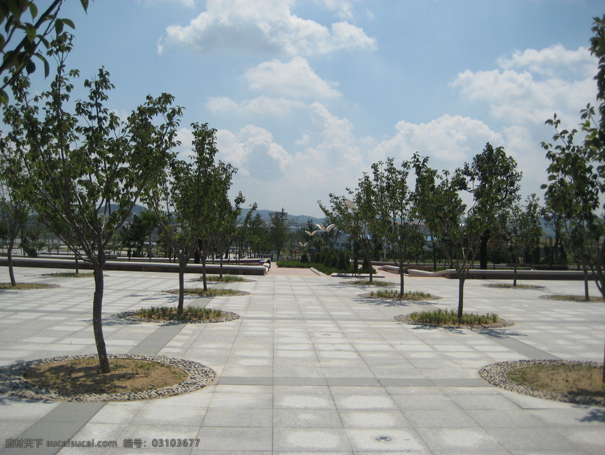 廣場 公園 局部 樹木 園林 園林景觀 園林綠化 園林設(shè)計素材 園林植物圖片 鋪設(shè) 裝飾素材 園林景觀設(shè)計