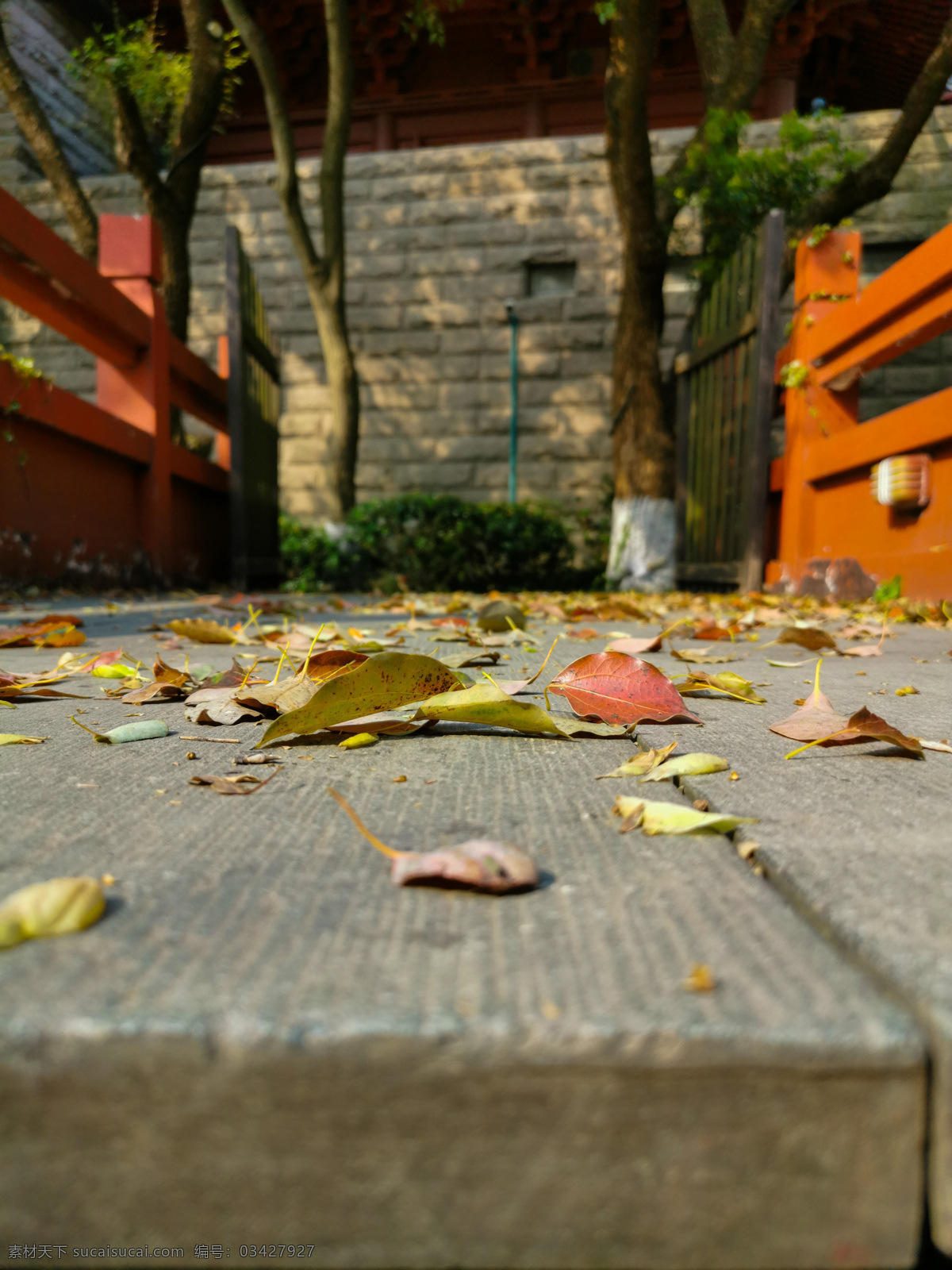 满地的落叶 叶子 落叶 台阶上 满底 回忆 记忆 凄凉 悲凉 悲秋 岁月 自然景观 自然风景