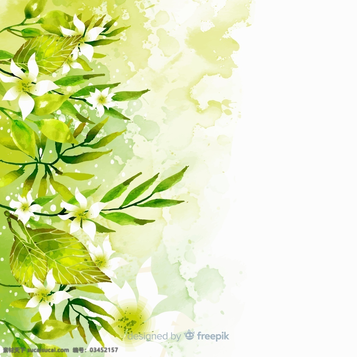水彩 绘 绿色 树叶 白色 花卉 水彩绘 矢量 植物 生物世界 花草