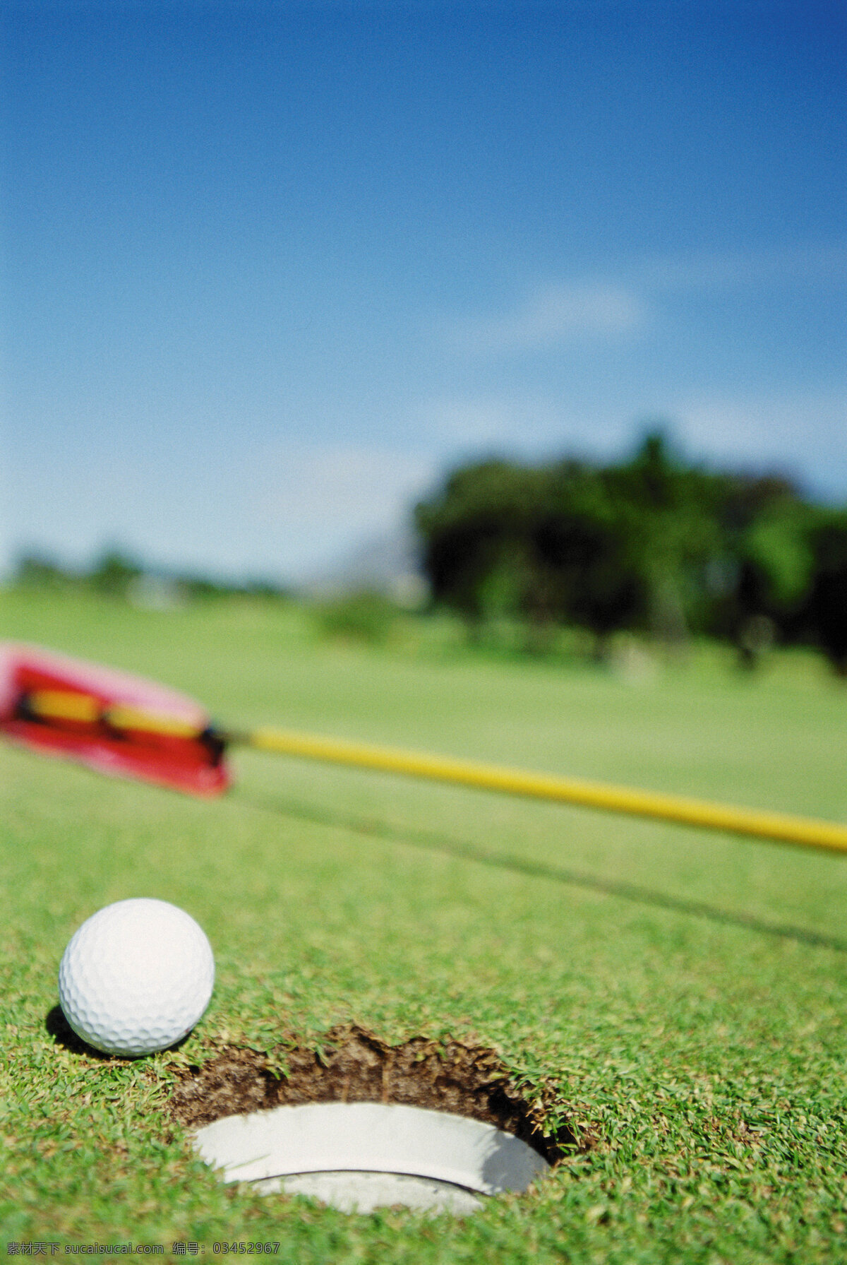 高尔夫球 特写 球场 球杆 草地 贵族运动 休闲运动 尊贵运动 体育运动 生活百科 绿色