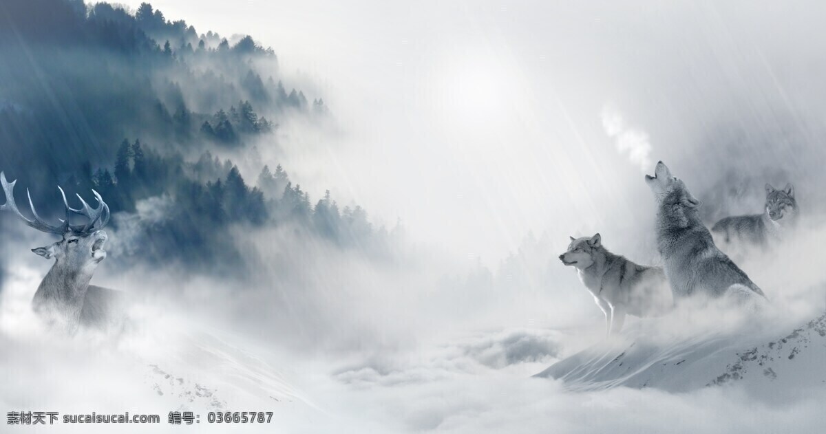 雪地 狼 鹿 漫画 背景 动物 天空 狼族 白 动物图片 天空图片 狼图片 白色 黑色 底纹边框 背景底纹