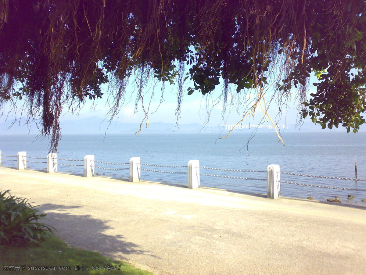 倒影 風景 高樓 共享 共享圖片 海邊 海水 護欄 藍天白云 綠草 深圳 深圳紅樹林 紅樹林 遠景 遠處的高樓 天空 攝影圖片 遠處的山 橋 石頭 樹葉