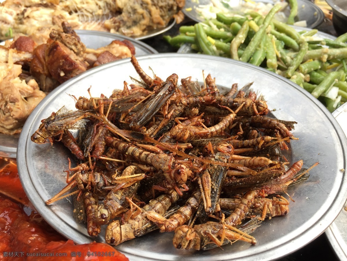 油炸螞蚱圖片 螞蚱 菜 山東特產 美食 傳統(tǒng) 餐飲美食 傳統(tǒng)美食