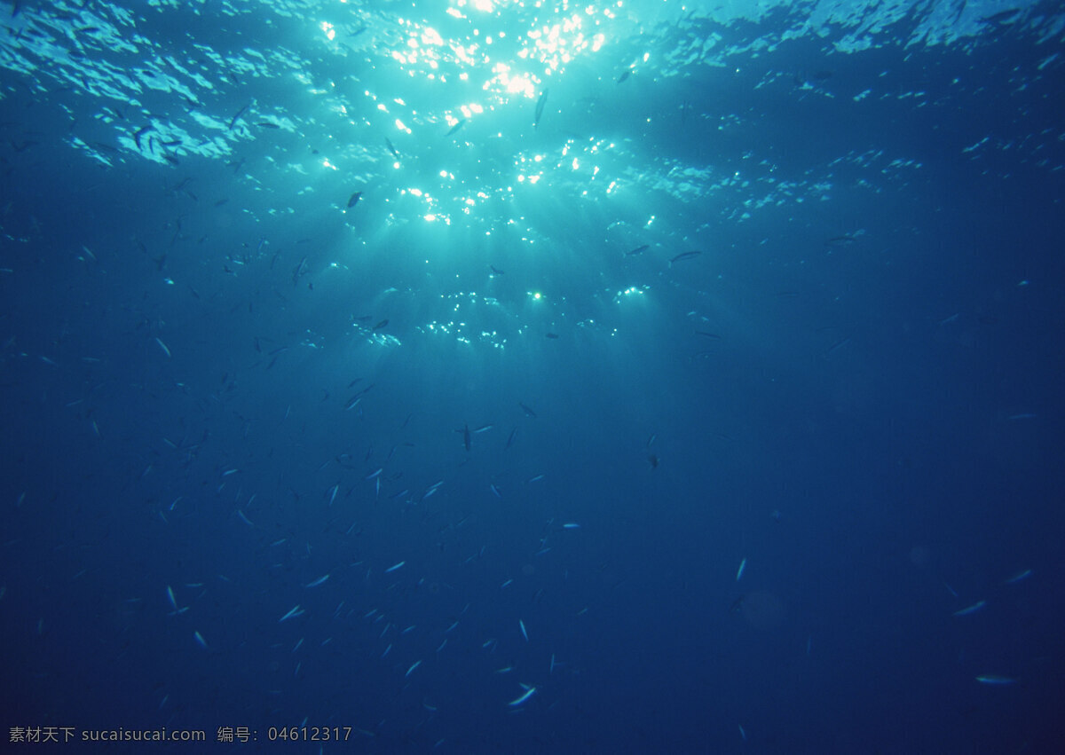 海底 弋 鱼群 大海深处 海洋深处 海底的鱼群 海底世界 热带鱼 深邃的大海 大洋深处 大洋 大海 群鱼 水下世界 游弋的鱼群 生物世界 鱼类