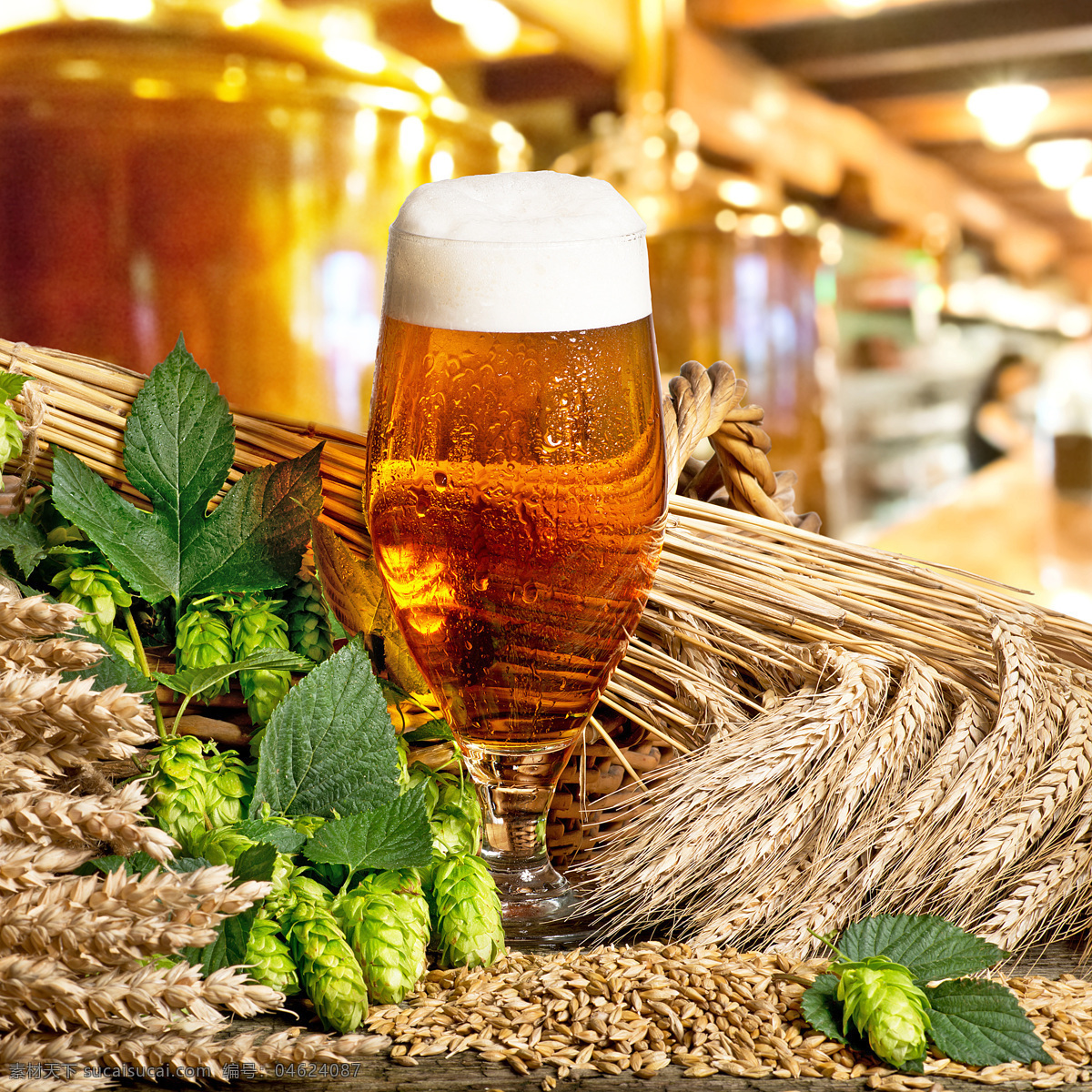 啤酒釀造 啤酒花 beer 酒水 冰鎮(zhèn)啤酒 小麥 麥穗 德國(guó)啤酒 啤酒廣告 啤酒工藝 餐飲美食 飲料酒水