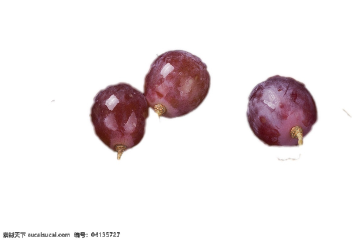 三個(gè) 清甜 可口 葡萄 粒 新鮮 營(yíng)養(yǎng) 健康 植物 綠色食品 安全 肉厚 汁多 香甜 特產(chǎn) 食品 果實(shí)