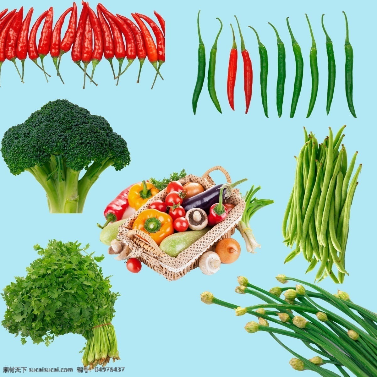 分層 辣椒 芹菜 蔬菜 蔬菜素材 西蘭花 源文件 蔬菜推 豇豆 蒜苗 新鮮蔬菜素材 廚房必備 風景 生活 旅游餐飲