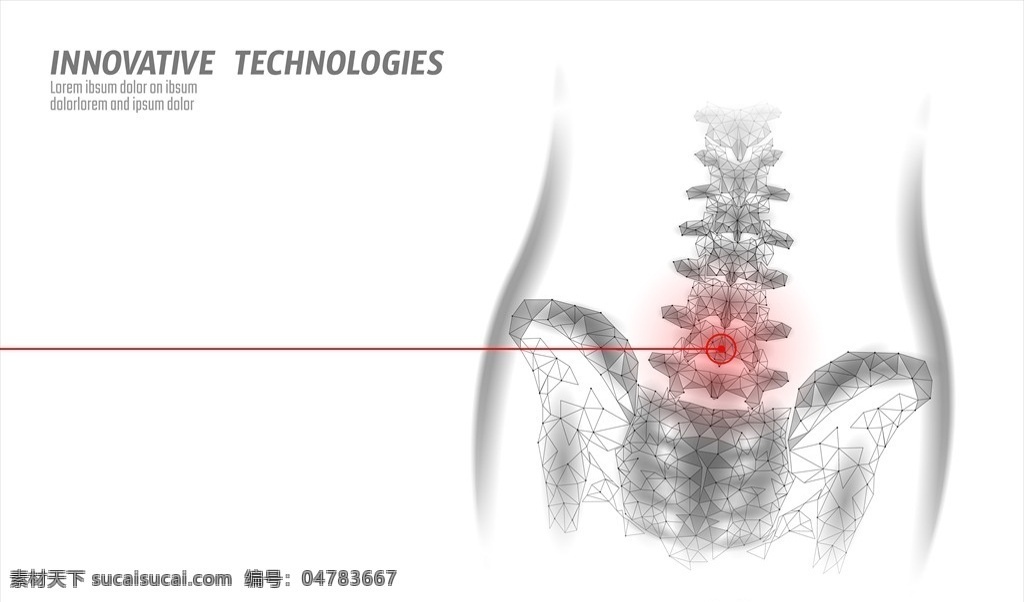 肢体 模型 效果图 3dmax 医学研究 医学人体 透视人体 人体结构 关节 医学 人体骨骼 3d设计 其他模型 底纹边框 其他素材