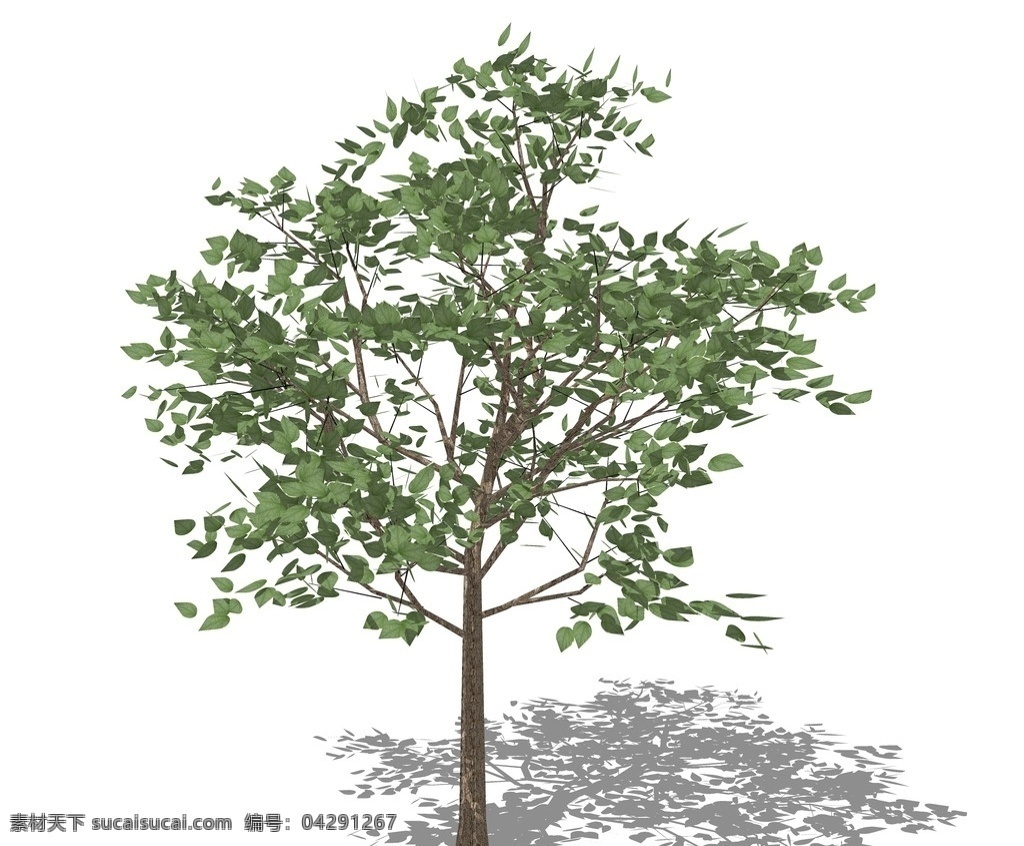 su植物模型 su植物素材 sketchup 植物 su樹 3d植物模型 景觀設計 園林設計 植物素材 su配景 skp植物 草圖大師植物 景觀 su模型 su3d樹 su植物 環(huán)境設計 skp