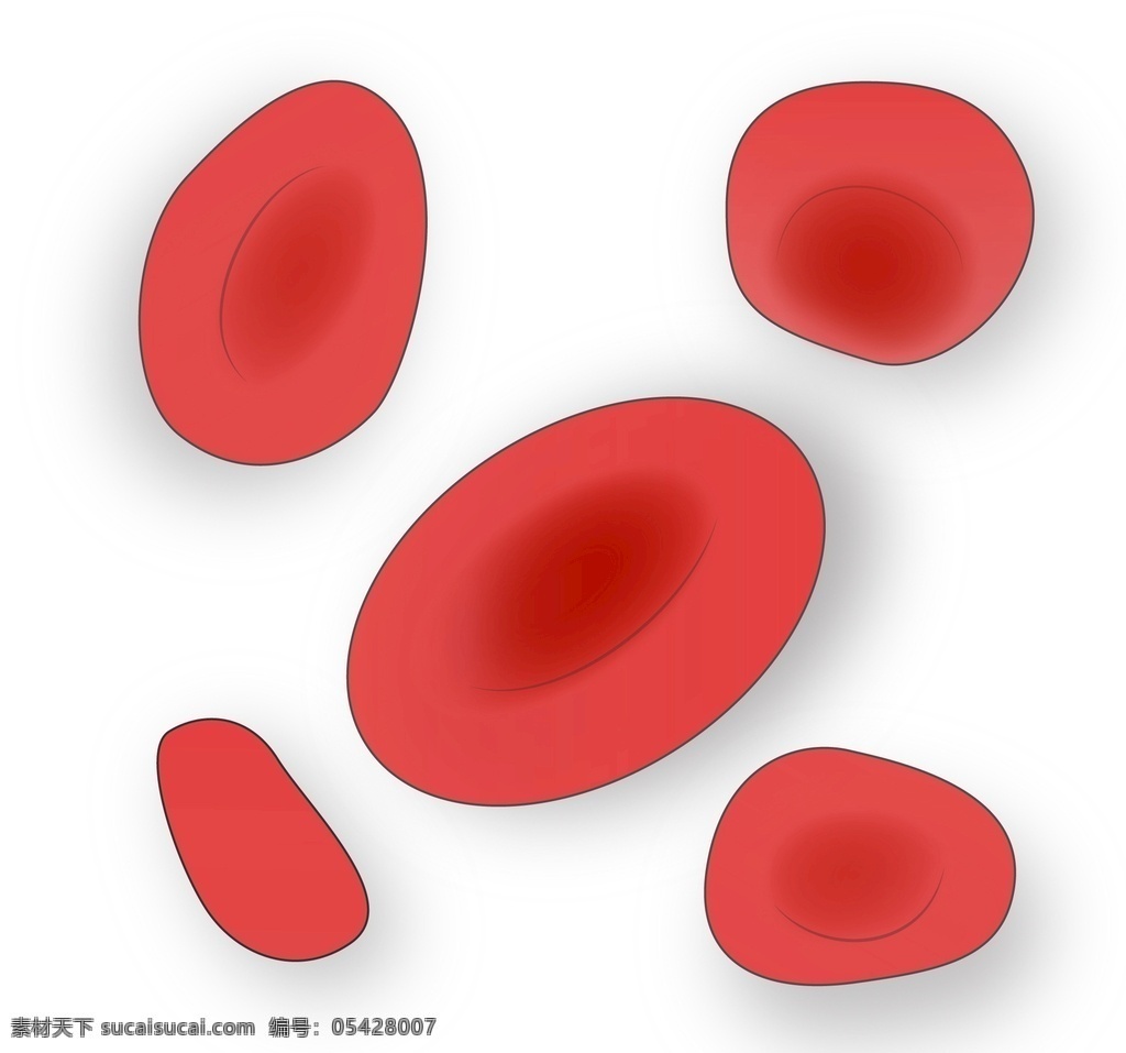 红细胞 细胞 血液 血流 红色 立体细胞 多角度