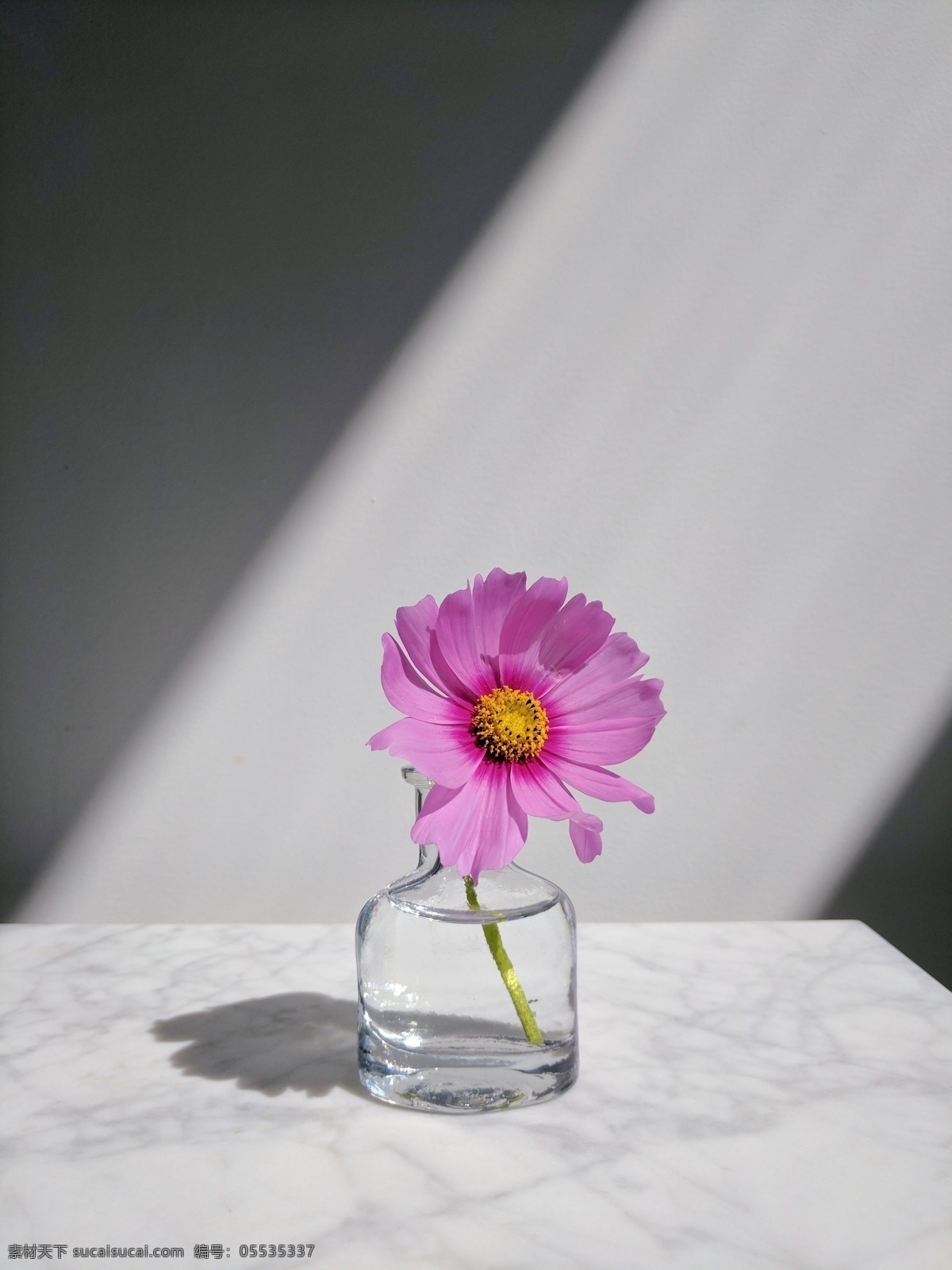 束 光大 理石 玻璃瓶 朵 花 一束光 大理石面 一朵花 紫色菊花