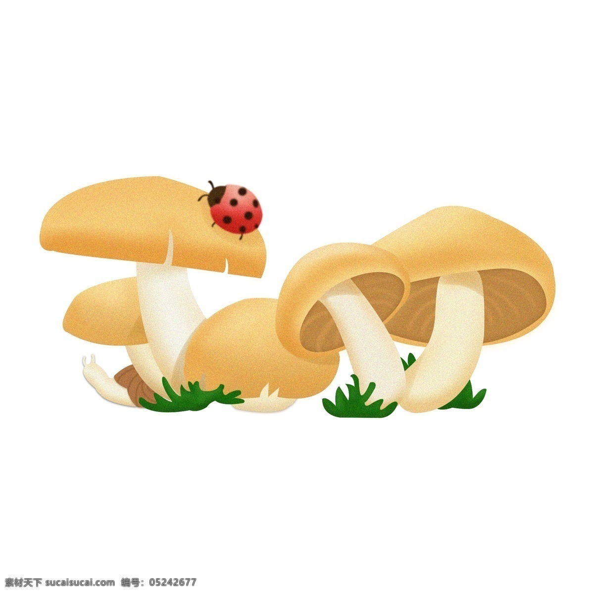 瓢蟲 蝸牛 清新 小 蘑菇 商用 小清新 黃色小植物 免 扣