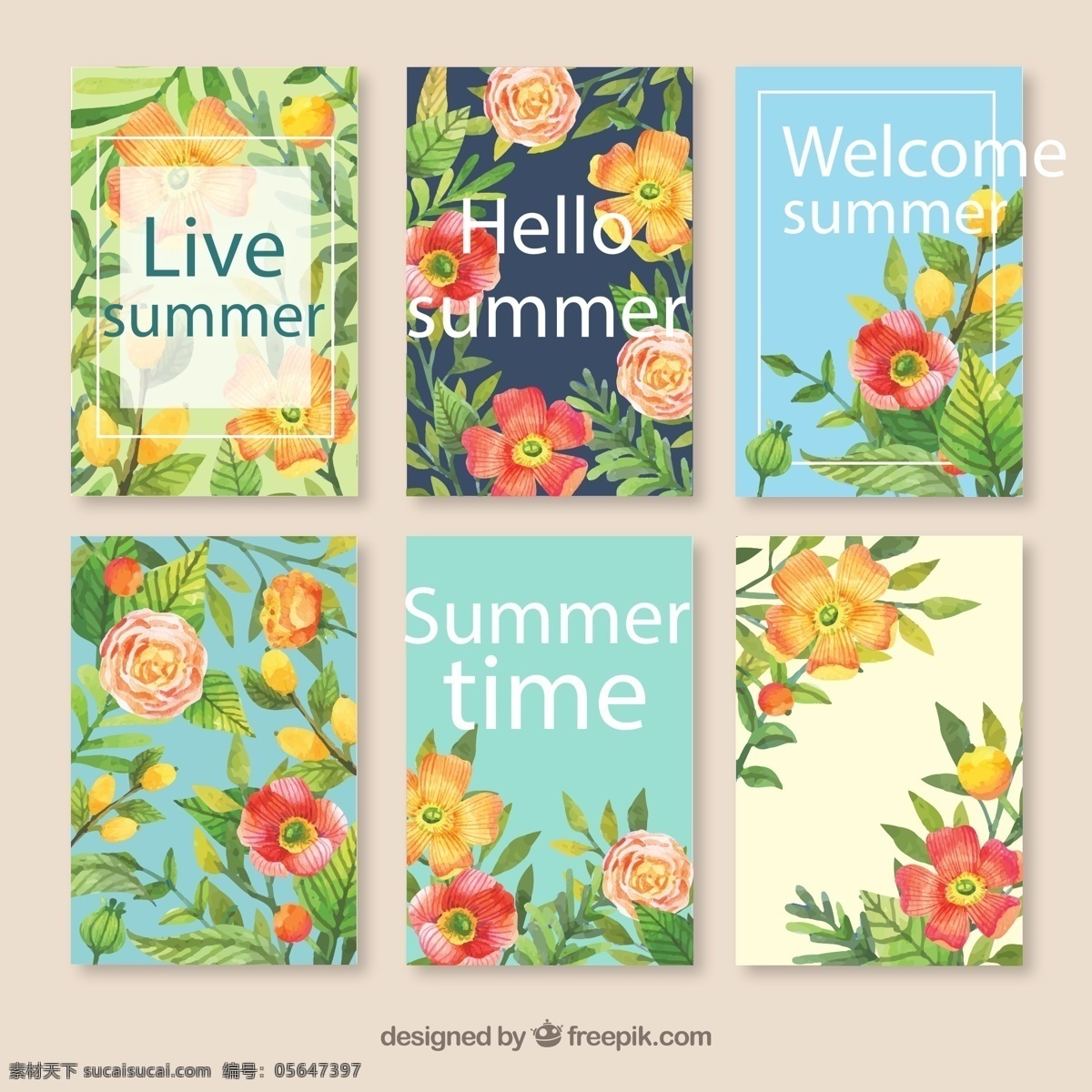彩色 夏季 花卉 卡片 矢量图 格式 矢量 高清图片